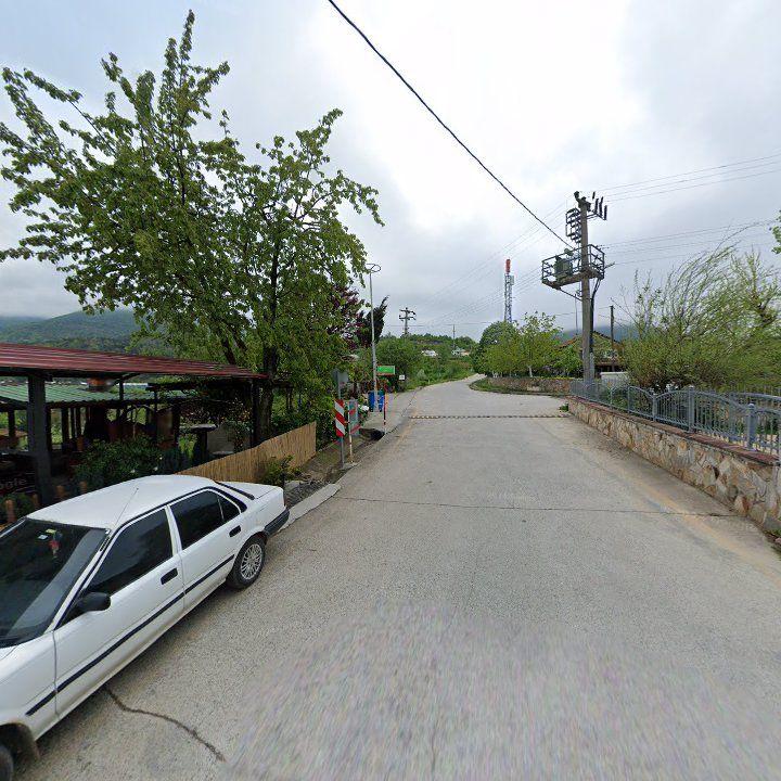 Fotoğraf 8
