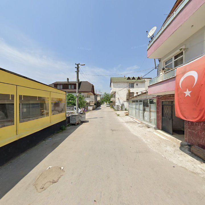 Fotoğraf 9