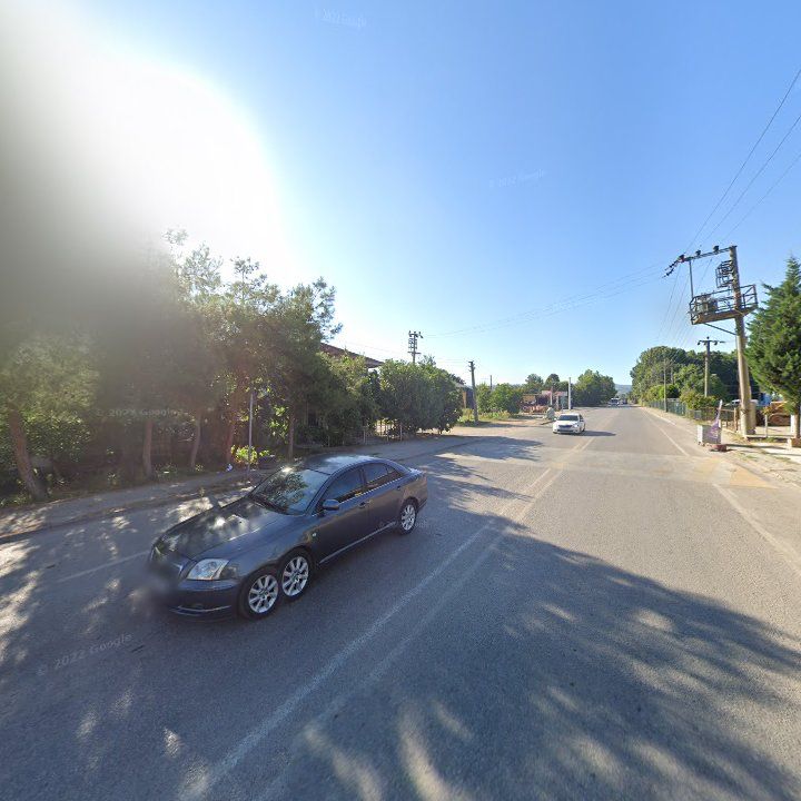 Fotoğraf 6
