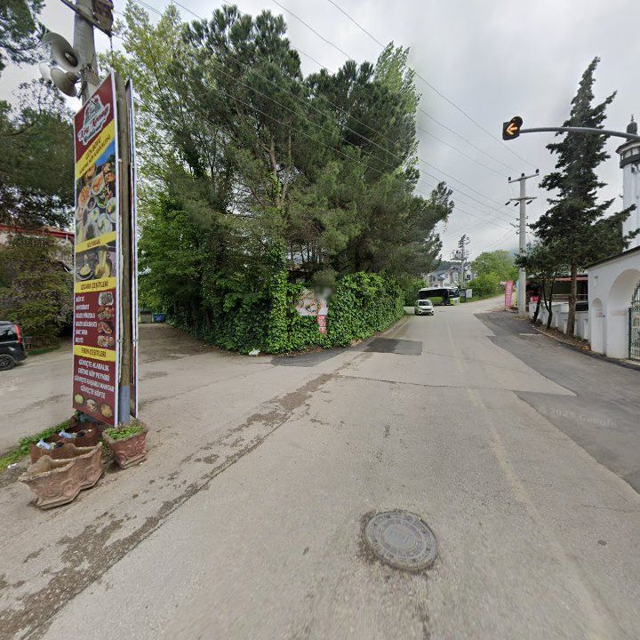 Fotoğraf 10