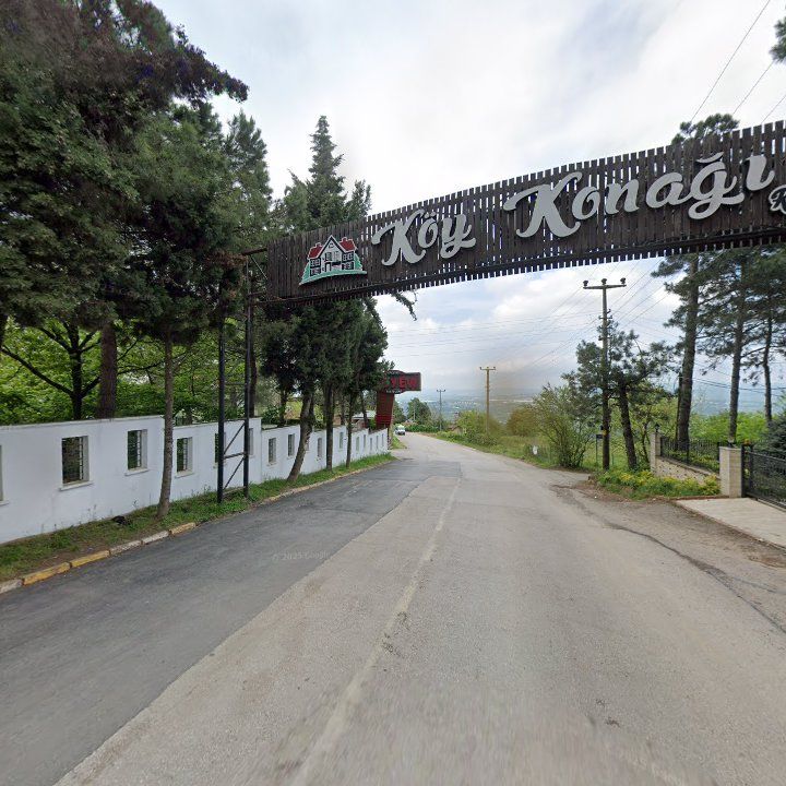 Fotoğraf 12