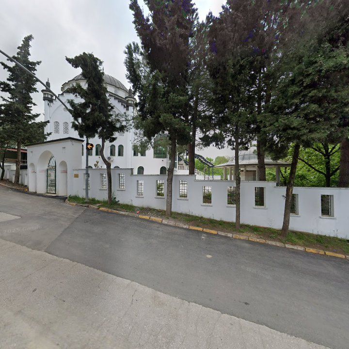 Fotoğraf 11