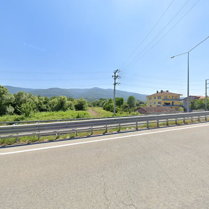 Fotoğraf 11