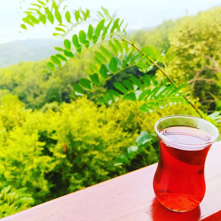 Fotoğraf 33