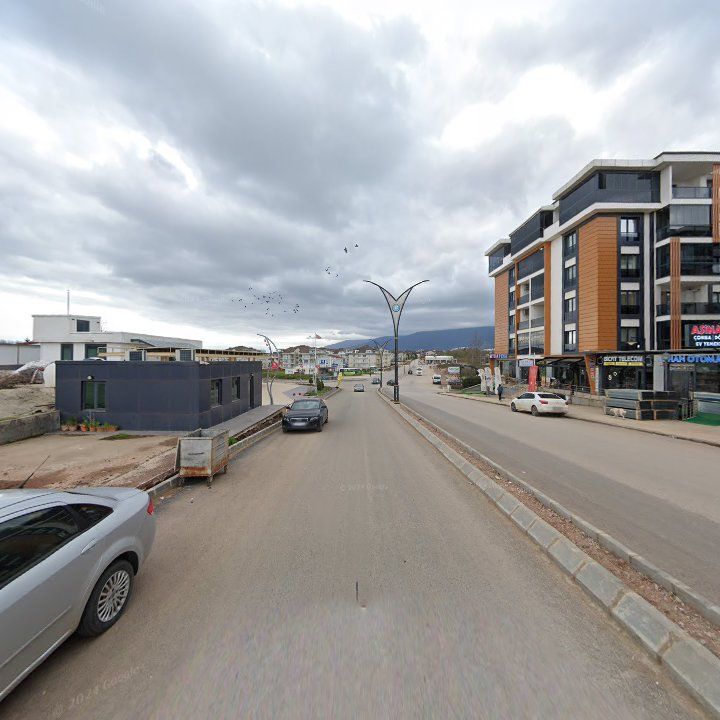 Fotoğraf 11