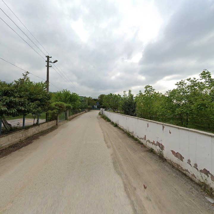 Fotoğraf 9