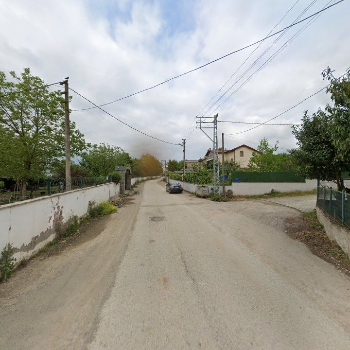 Fotoğraf 11