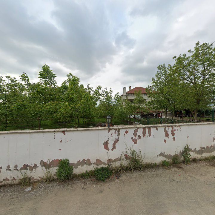 Fotoğraf 10