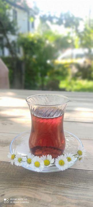 Fotoğraf 44