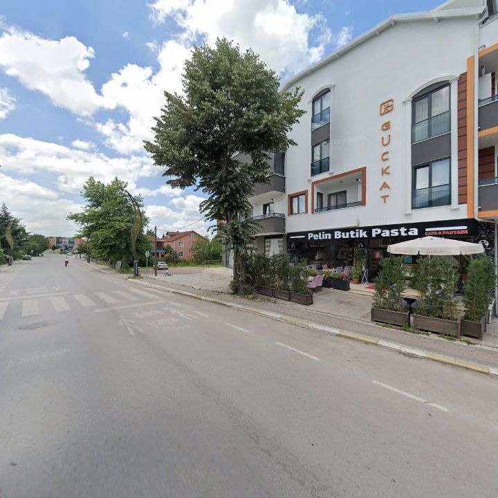 Fotoğraf 9