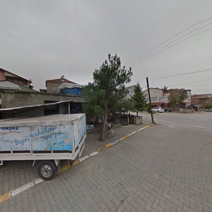 Fotoğraf 8