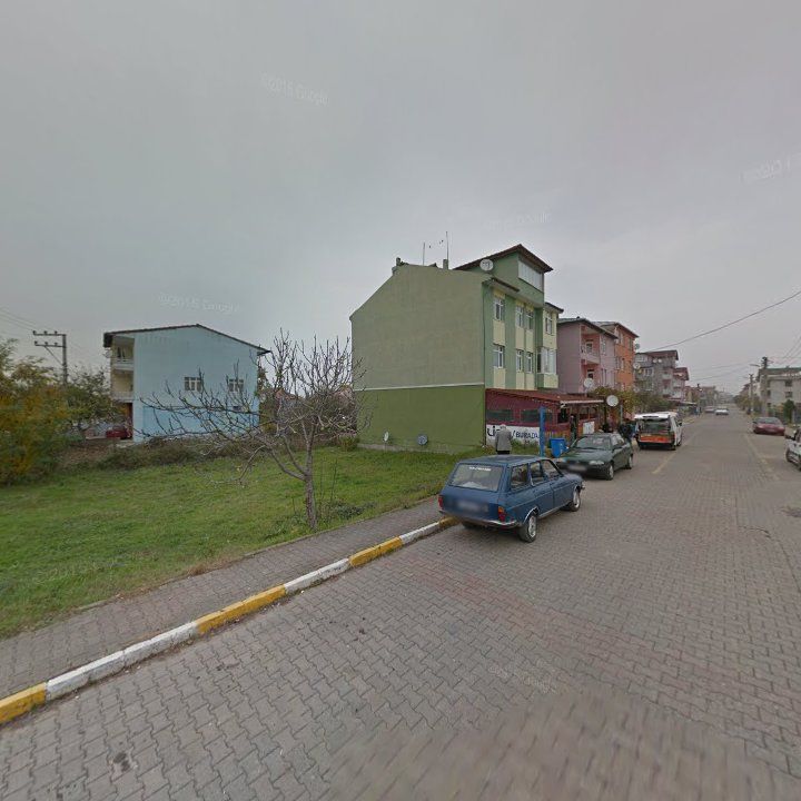 Fotoğraf 6