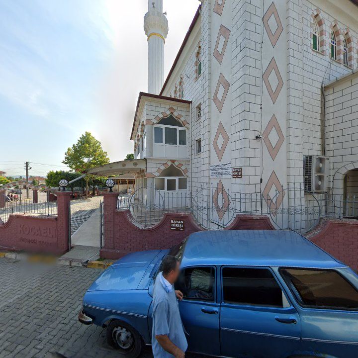 Fotoğraf 8