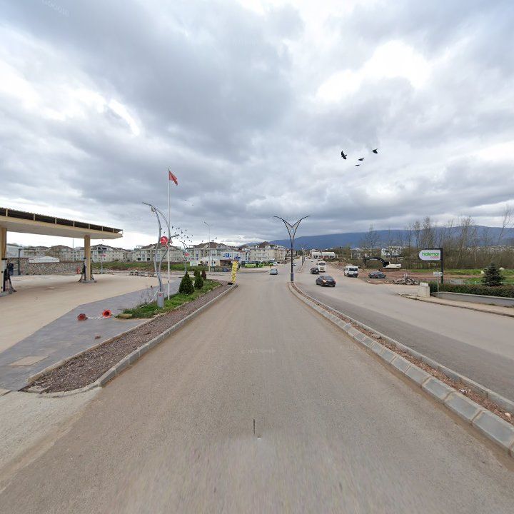 Fotoğraf 5