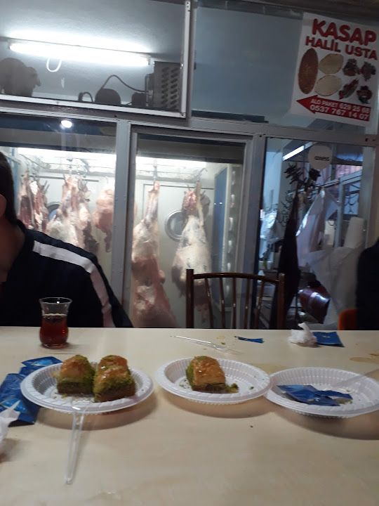 Fotoğraf 14
