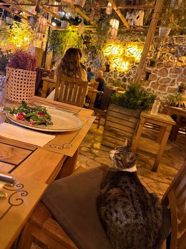 Yorum fotoğrafı 3