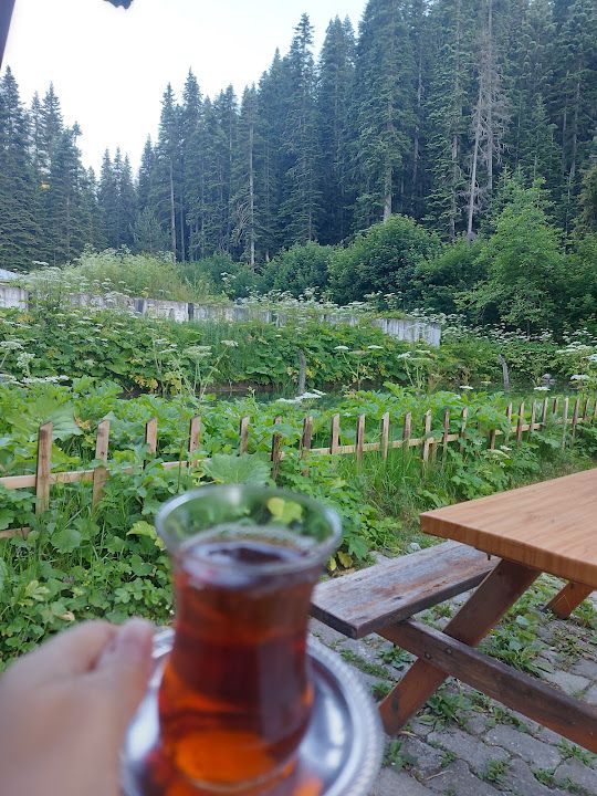 Yorum fotoğrafı 4