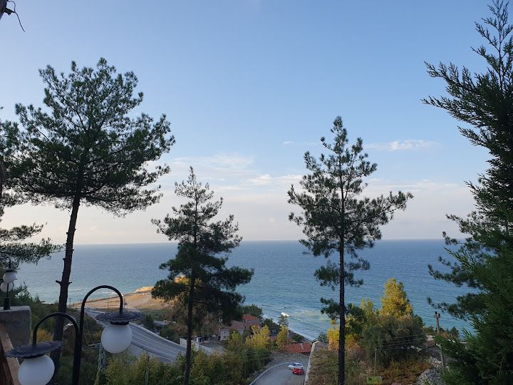 Yorum fotoğrafı 2