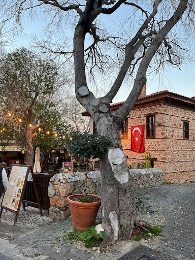 Yorum fotoğrafı 4