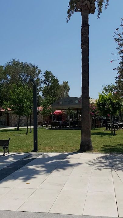 Fotoğraf 32