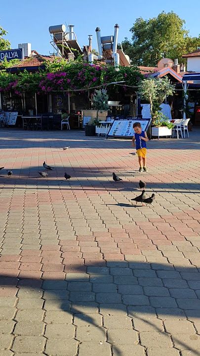 Yorum fotoğrafı 3