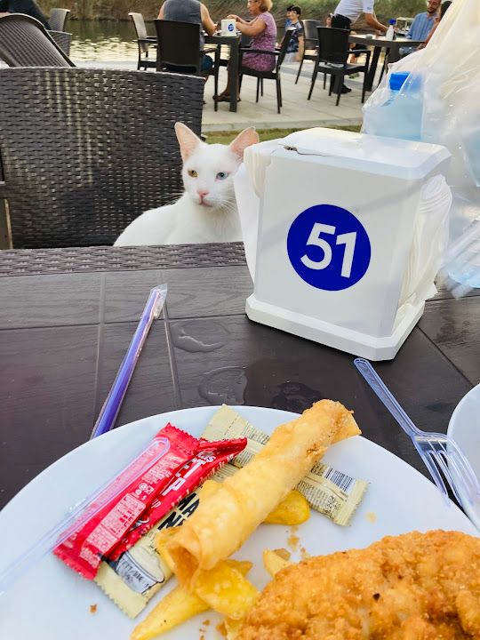 Yorum fotoğrafı 4