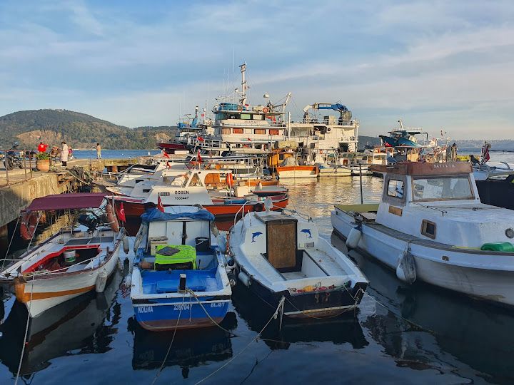 Yorum fotoğrafı 3