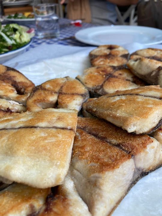 Fotoğraf 32