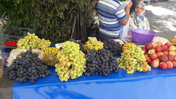 Fotoğraf 36