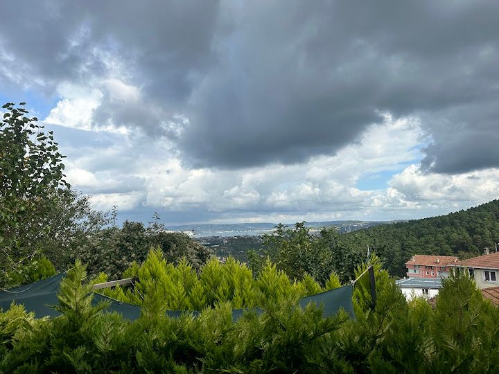Fotoğraf 55