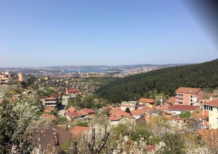 Fotoğraf 33