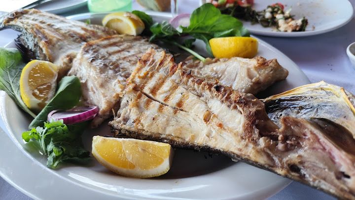 Fotoğraf 63