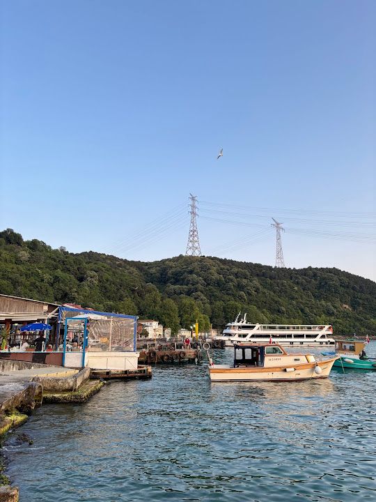 Yorum fotoğrafı 3