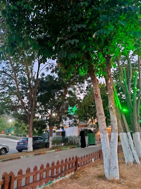 Yorum fotoğrafı 3