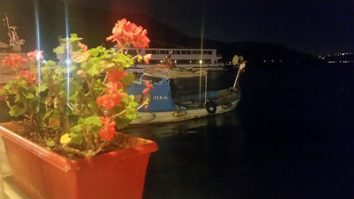 Fotoğraf 65