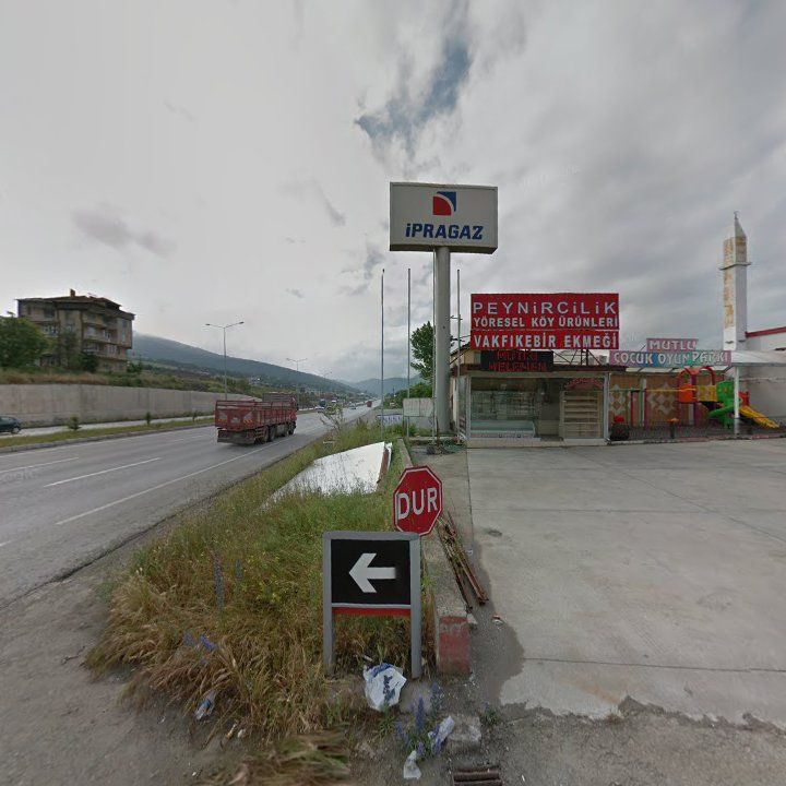 Fotoğraf 13