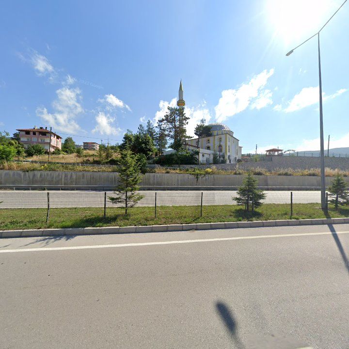 Fotoğraf 9