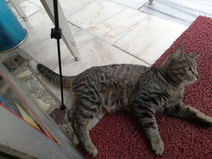 Yorum fotoğrafı 4