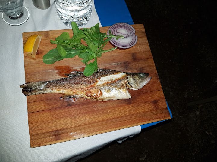 Fotoğraf 15