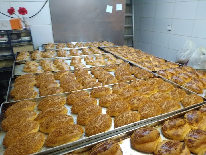 Fotoğraf 14