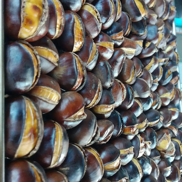 Fotoğraf 14