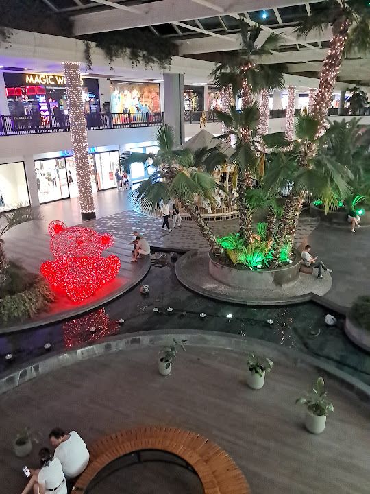 Fotoğraf 10