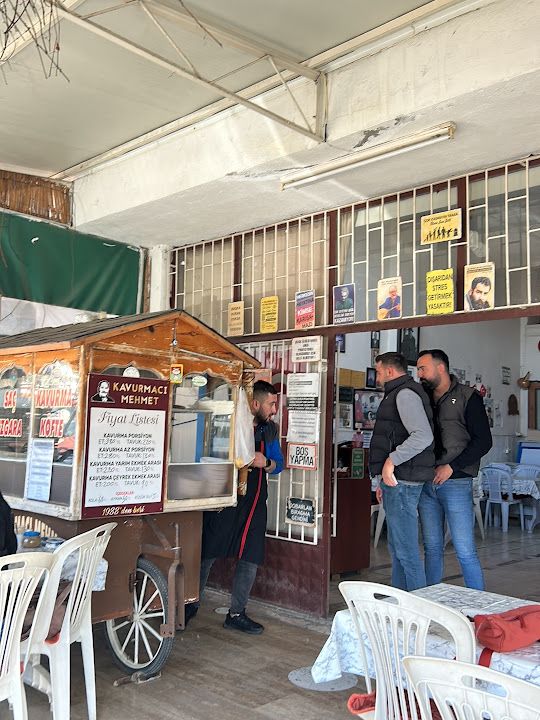 Fotoğraf 12