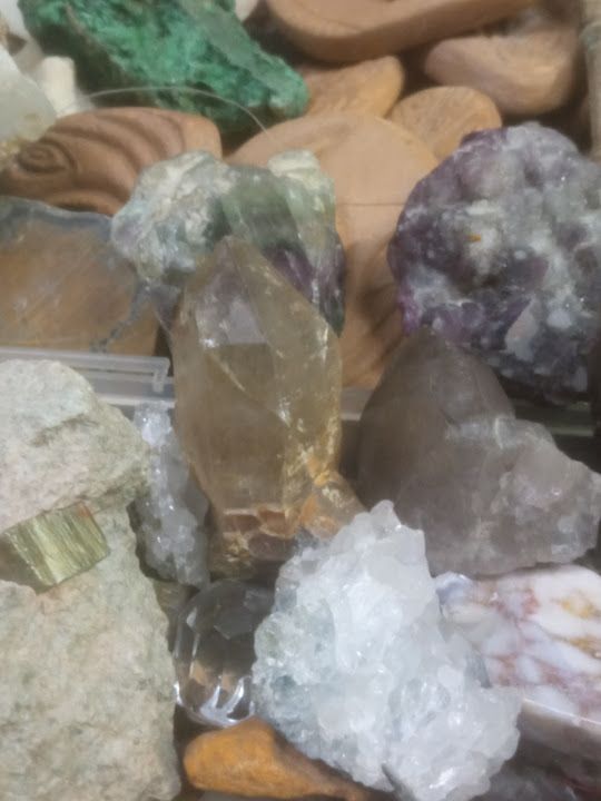 Fotoğraf 22