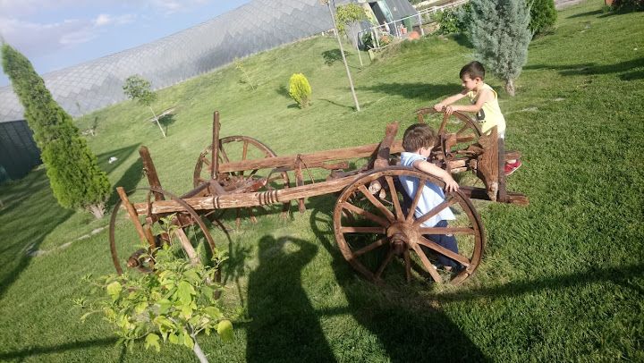 Nujin Çay Ocağı Ve Mahalli Yemekler