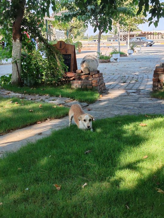 Yorum fotoğrafı 2