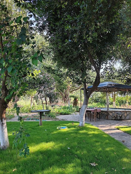 Yorum fotoğrafı 3