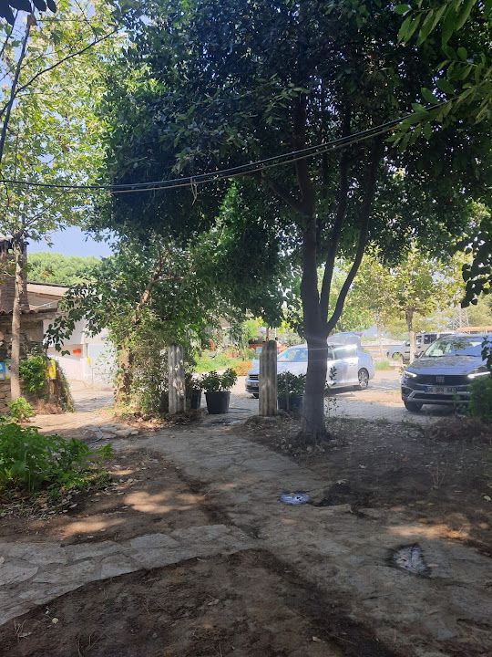 Yorum fotoğrafı 4
