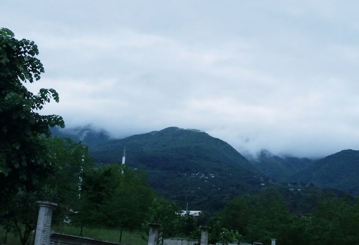 Fotoğraf 33