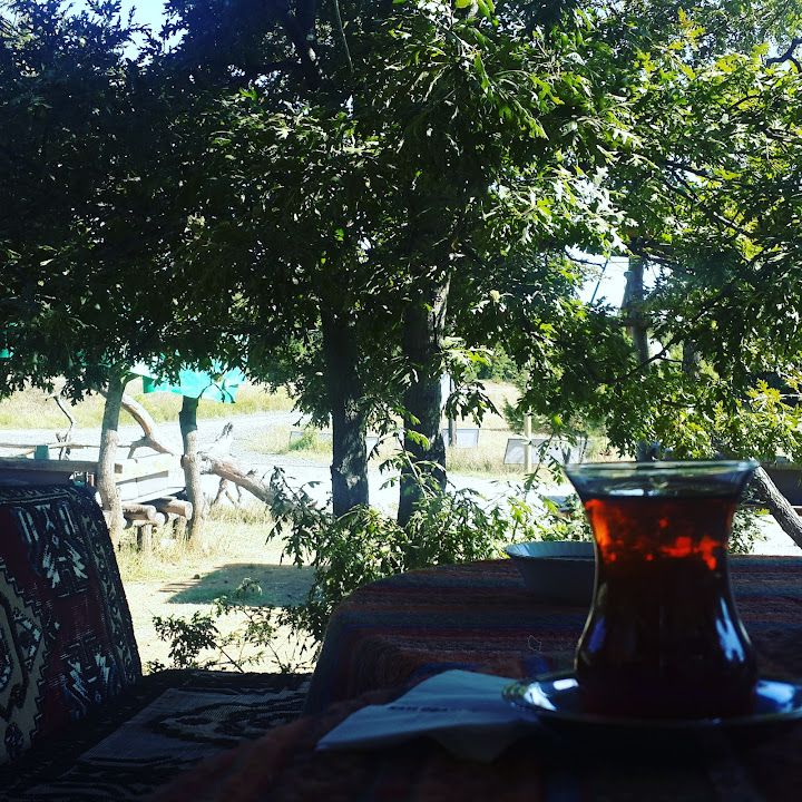 Fotoğraf 49